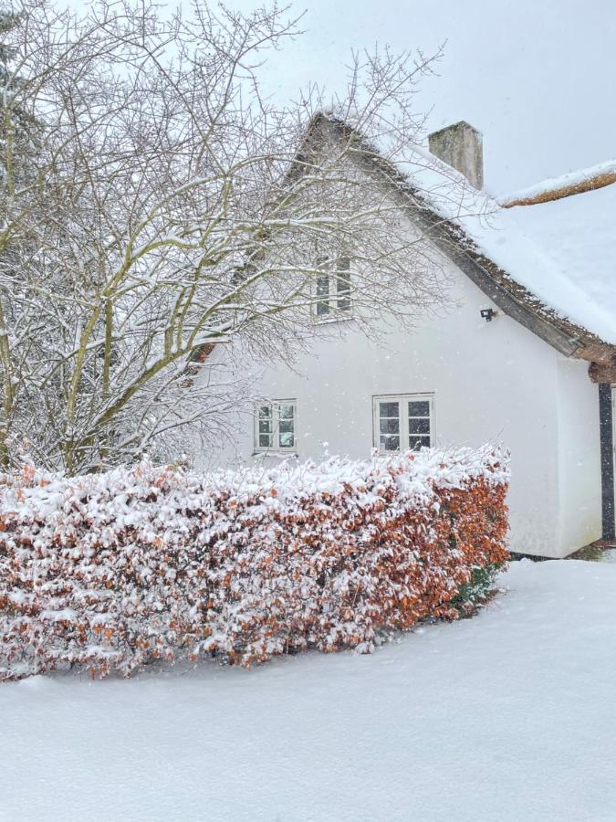 Apple Cottage Vejby Εξωτερικό φωτογραφία