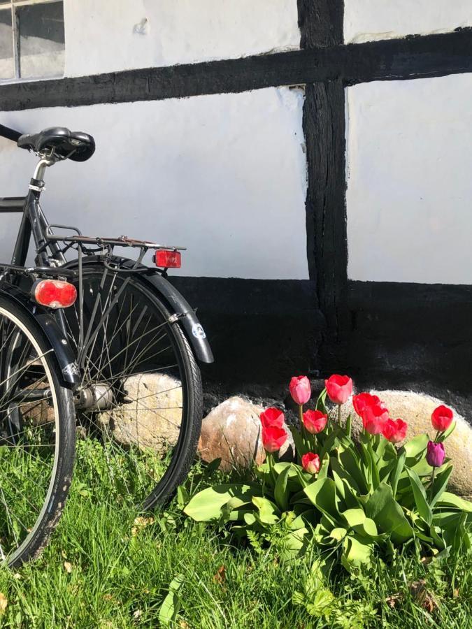 Apple Cottage Vejby Εξωτερικό φωτογραφία