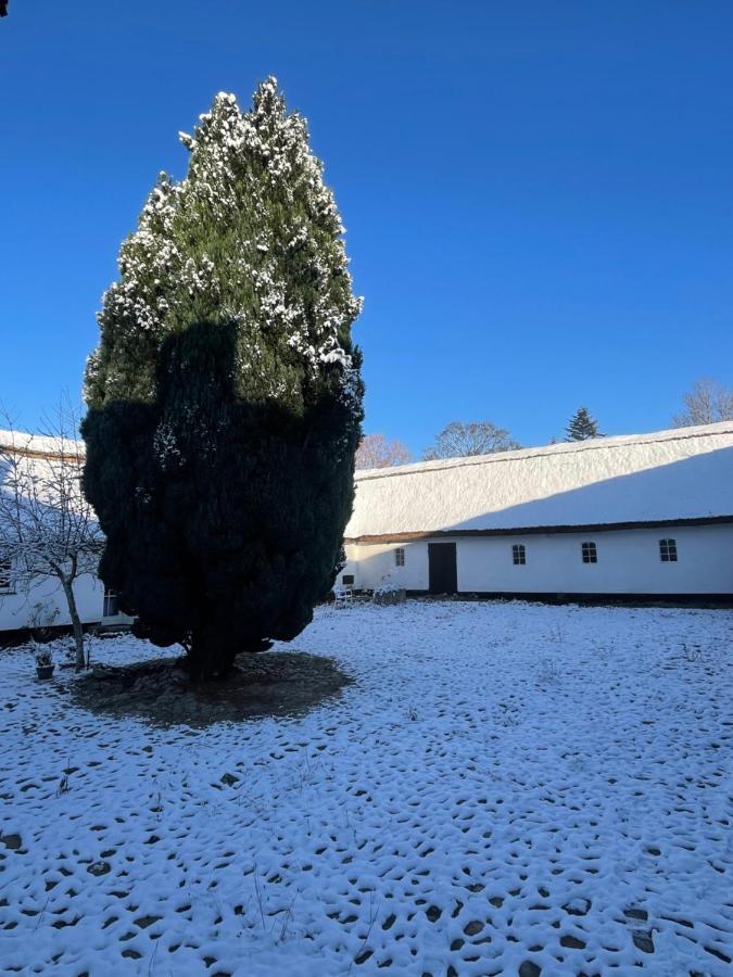 Apple Cottage Vejby Εξωτερικό φωτογραφία