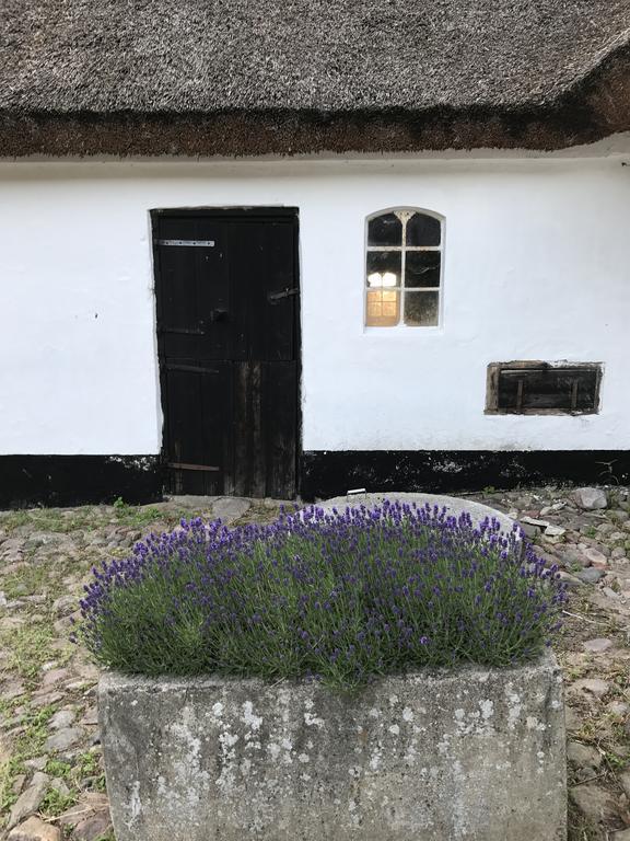 Apple Cottage Vejby Εξωτερικό φωτογραφία