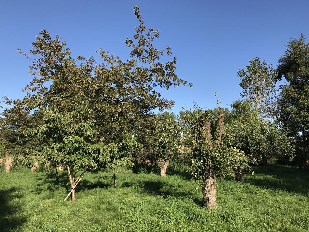 Apple Cottage Vejby Εξωτερικό φωτογραφία