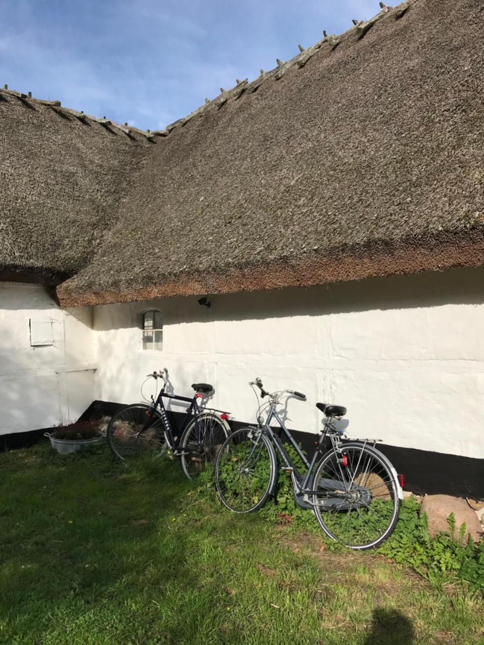 Apple Cottage Vejby Εξωτερικό φωτογραφία